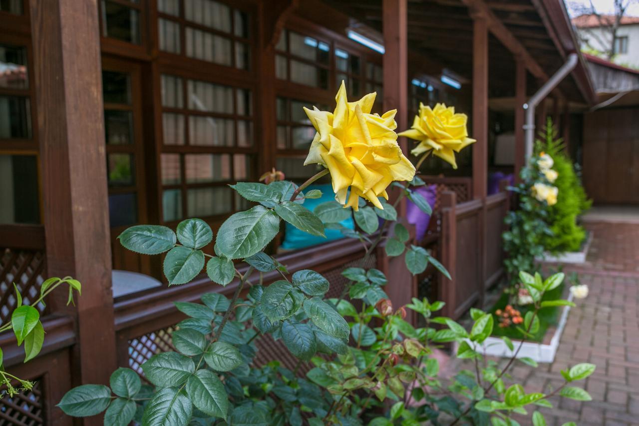 Carsi Pansiyon アマスラ エクステリア 写真